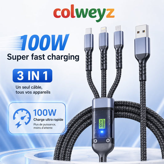 Câble 3-en-1 100W