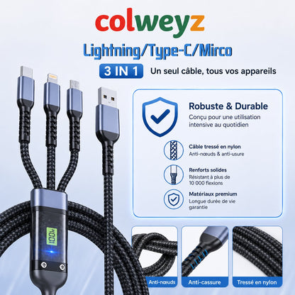Câble 3-en-1 100W