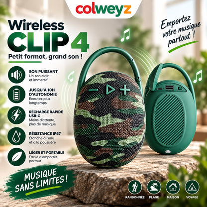 Enceinte Clip 4